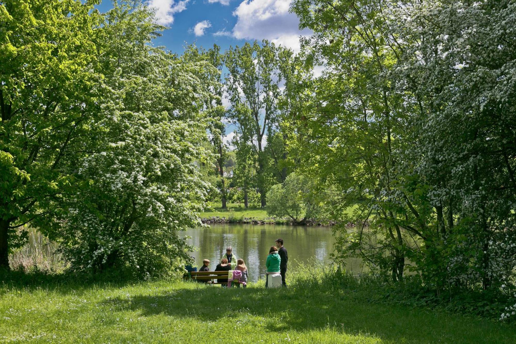 Knaus Campingpark Frickenhausen Фріккенгаузен-ам-Майн Екстер'єр фото